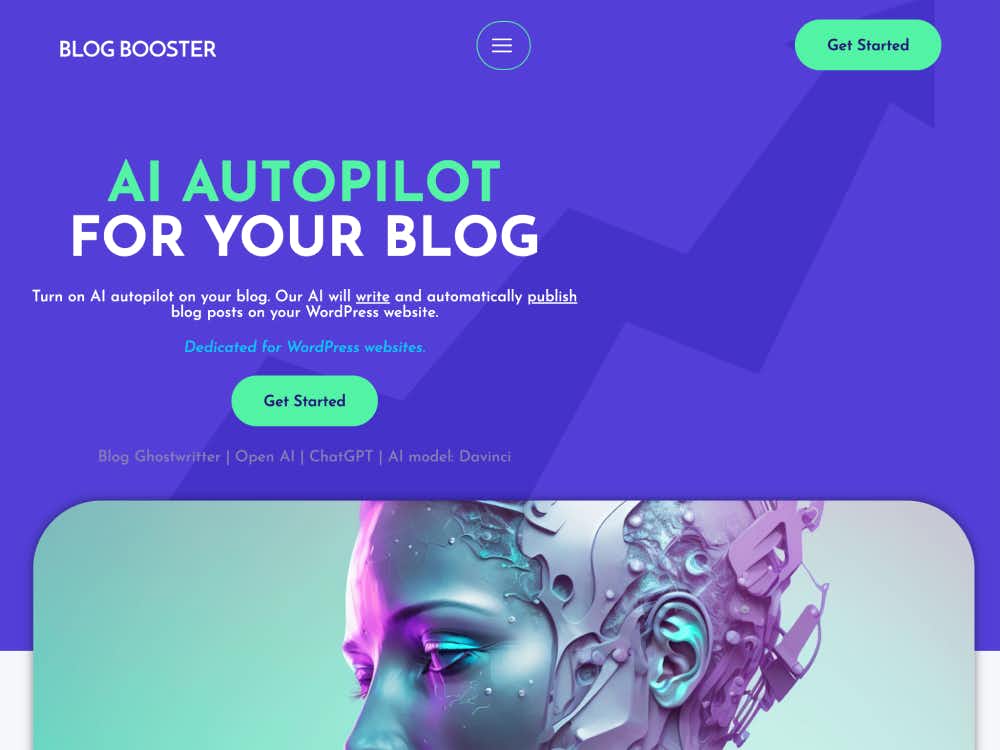 BLOGBOOSTER cover