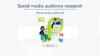 Social media audience research - Persona by Delve AI cover