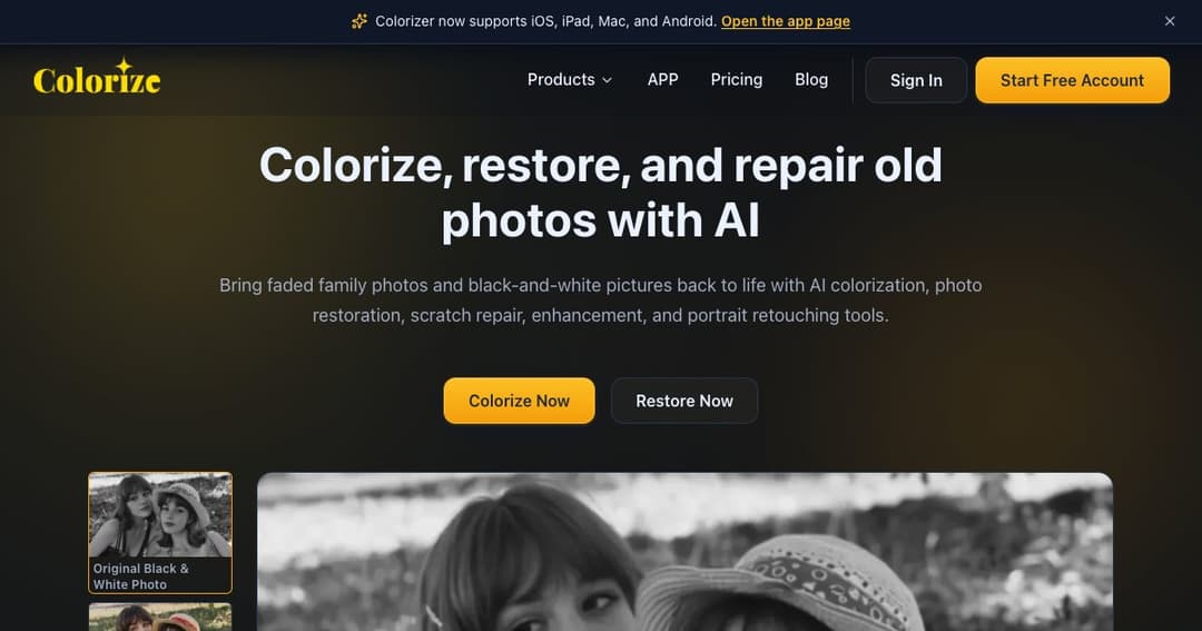 Image Colorizer cover Image Colorizer cover