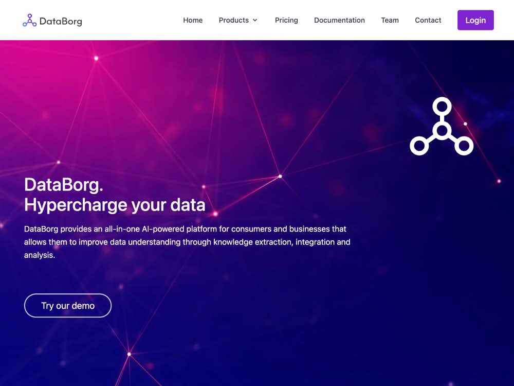 DataBorg cover