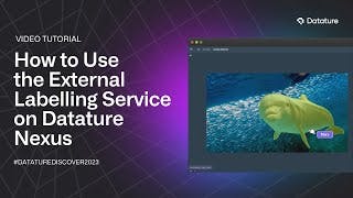 How to Use the External Labelling Service on Datature Nexus cover