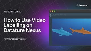 How to Annotate Your Video Data on Datature Nexus cover