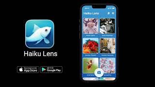 Haiku Lens - AI poems with GPT-4 cover